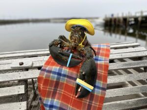 Nova Scotia Lobster