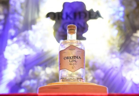 Orkidea
