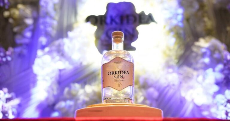 Orkidea