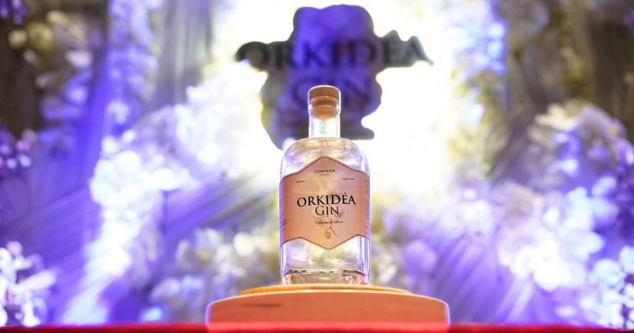 Orkidea